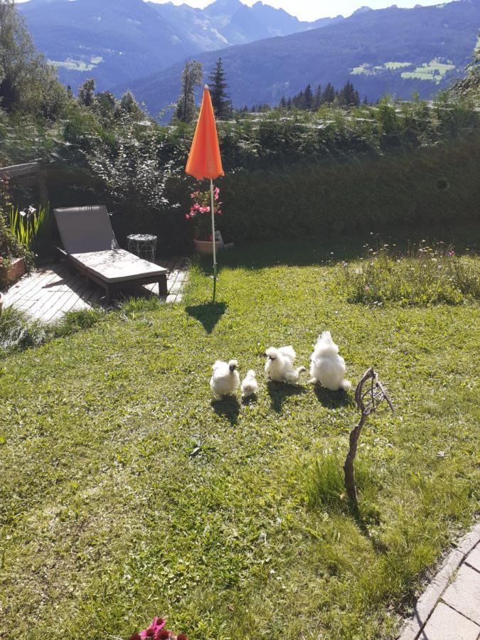 Appartement Heidi By Schladmingurlaub Ramsau am Dachstein Exteriér fotografie